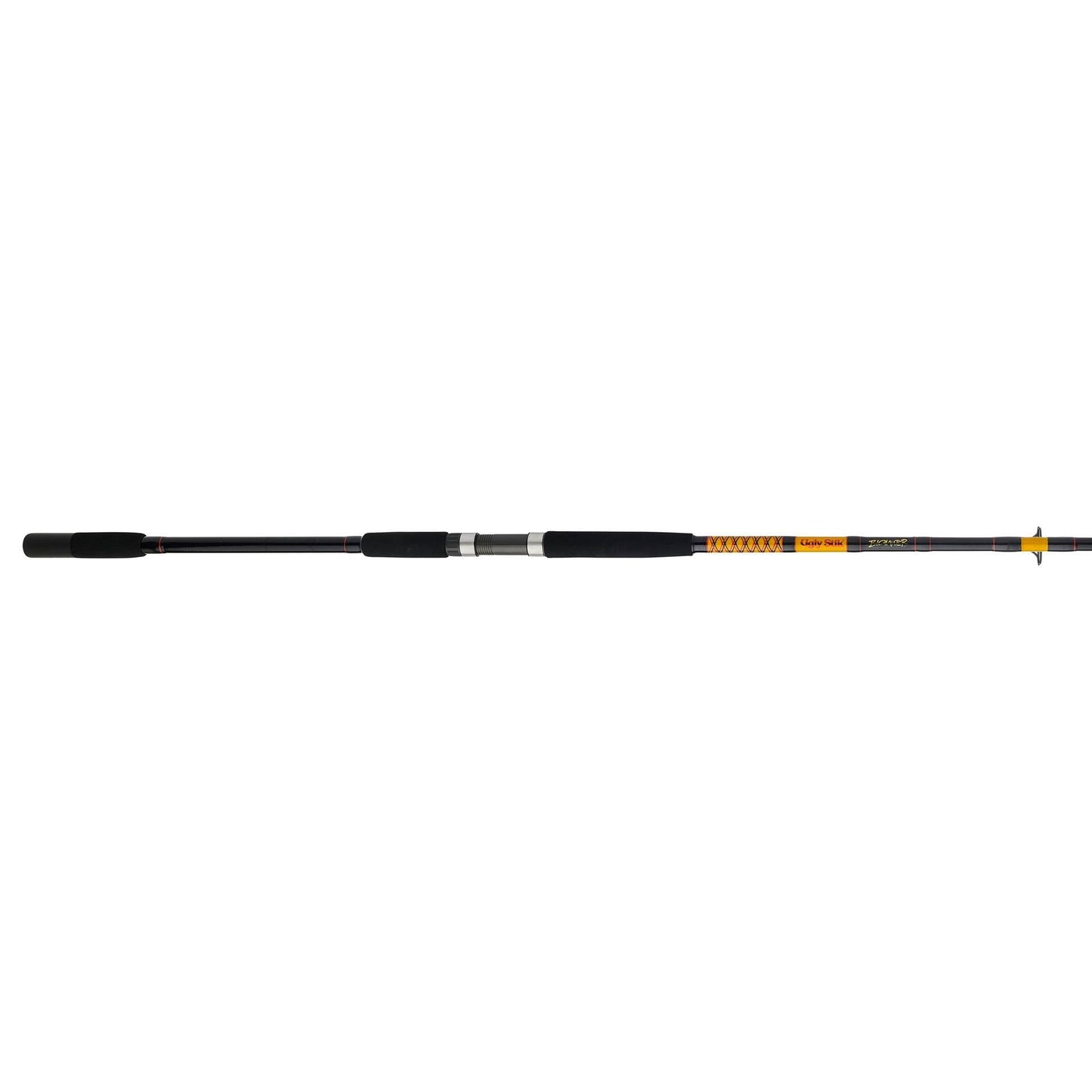 Bigwater 2-Piece Spinning Rod