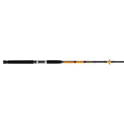 Bigwater Spinning Rod