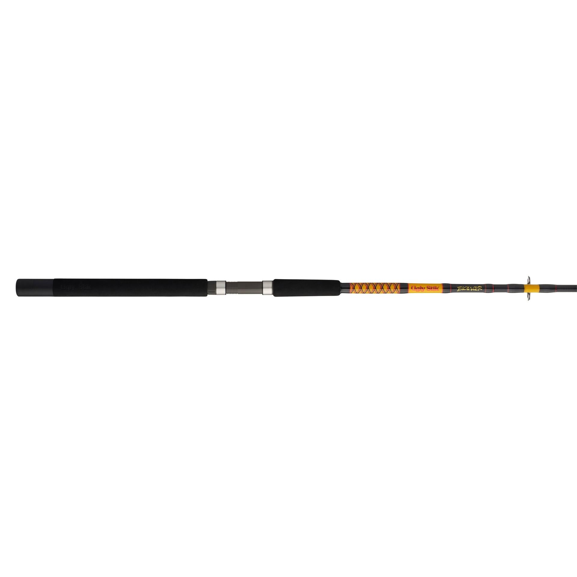 Bigwater 2-Piece Spinning Rod